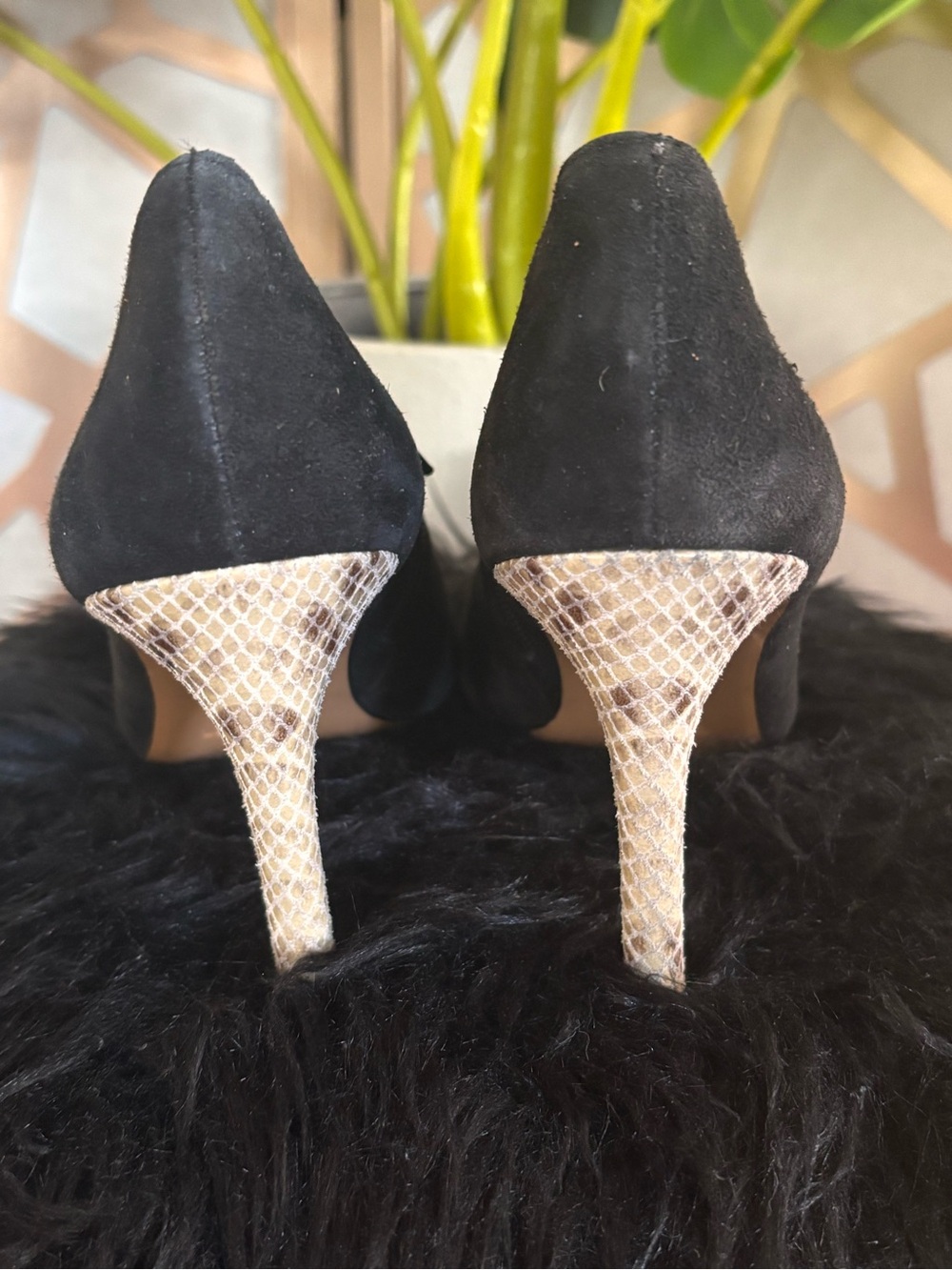 Coach Black Suede Ankle Booties Snake Print Heels Side Zip Size 8.5 - Picture 7 of 8